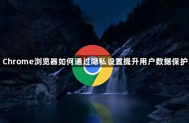 Chrome浏览器如何通过隐私设置提升用户数据保护1