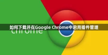 如何下载并在Google Chrome中启用插件管理1