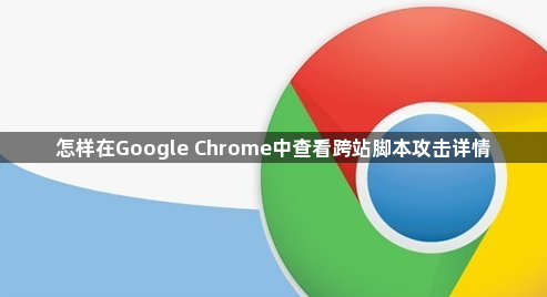 怎样在Google Chrome中查看跨站脚本攻击详情1