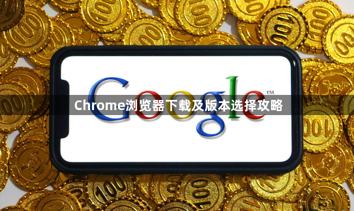 Chrome浏览器下载及版本选择攻略1