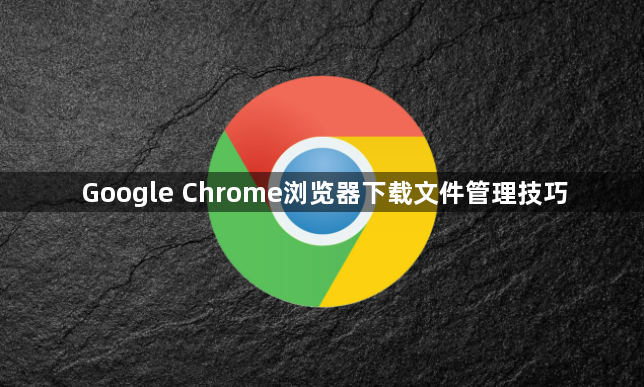 Google Chrome浏览器下载文件管理技巧1