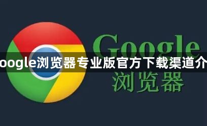 Google浏览器专业版官方下载渠道介绍1