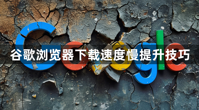 谷歌浏览器下载速度慢提升技巧1
