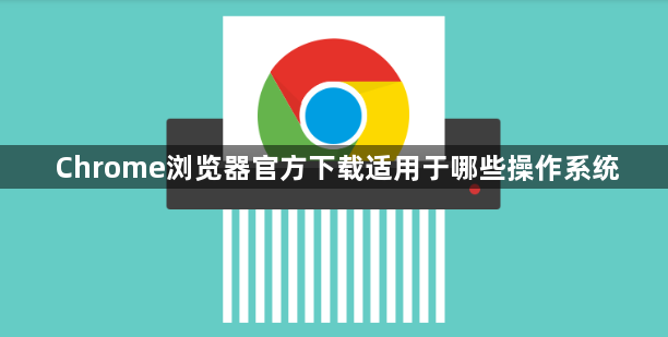 Chrome浏览器官方下载适用于哪些操作系统1