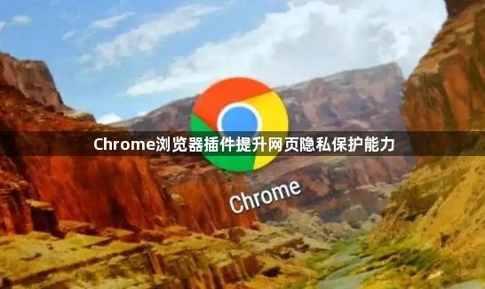 Chrome浏览器插件提升网页隐私保护能力1