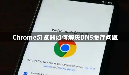 Chrome浏览器如何解决DNS缓存问题1