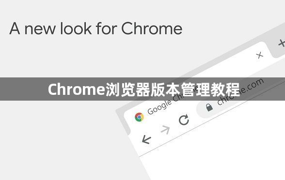 Chrome浏览器版本管理教程1