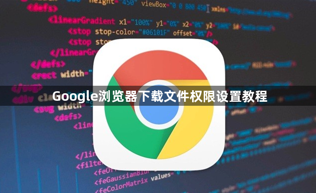Google浏览器下载文件权限设置教程1