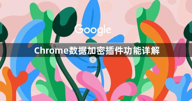 Chrome数据加密插件功能详解1