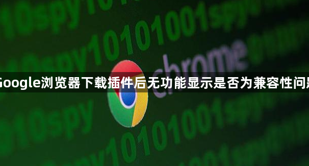 Google浏览器下载插件后无功能显示是否为兼容性问题1