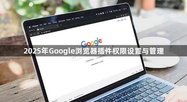 2025年Google浏览器插件权限设置与管理1