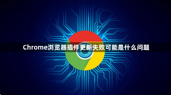 Chrome浏览器插件更新失败可能是什么问题1
