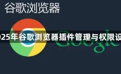 2025年谷歌浏览器插件管理与权限设置1
