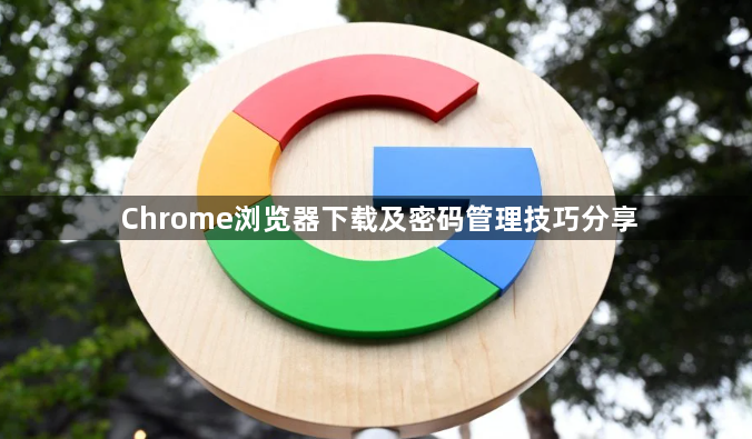 Chrome浏览器下载及密码管理技巧分享1