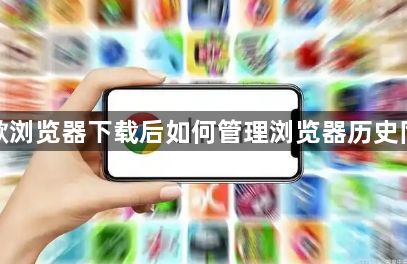 谷歌浏览器下载后如何管理浏览器历史同步1