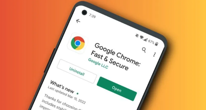 Google Chrome浏览器下载安装包网络配置优化方案