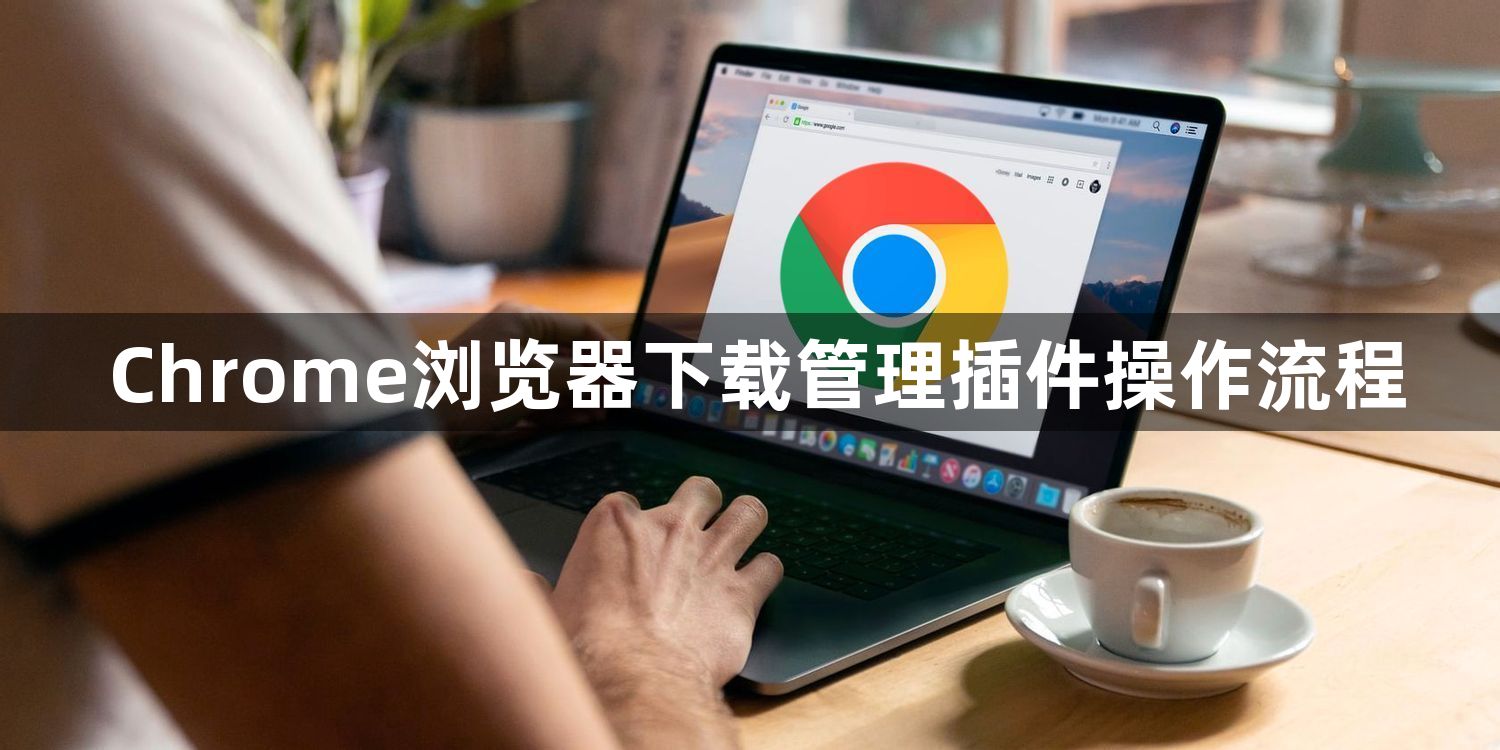 Chrome浏览器下载管理插件操作流程1