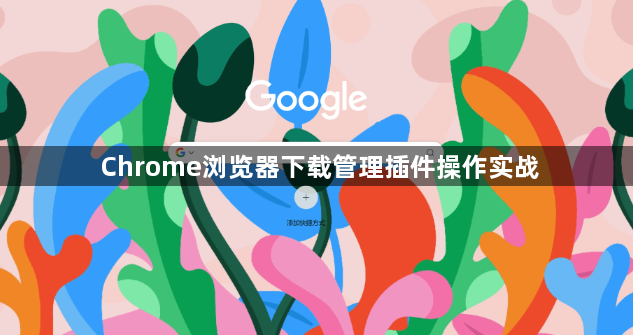 Chrome浏览器下载管理插件操作实战1