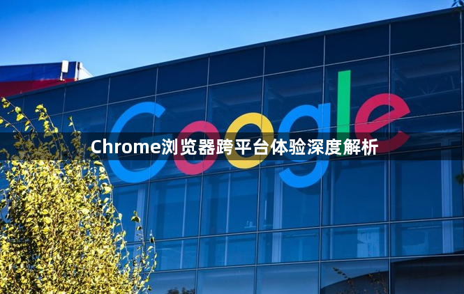 Chrome浏览器跨平台体验深度解析1