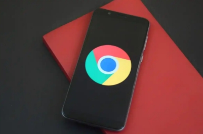 Google Chrome离线安装版获取与验证方法