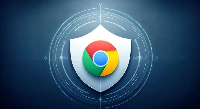 Chrome浏览器专业版安装流程及功能对比
