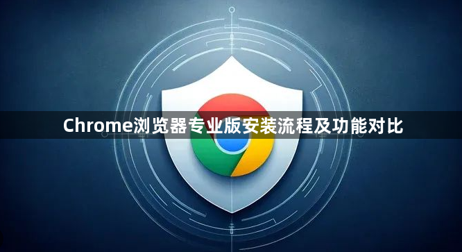 Chrome浏览器专业版安装流程及功能对比1