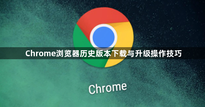Chrome浏览器历史版本下载与升级操作技巧1