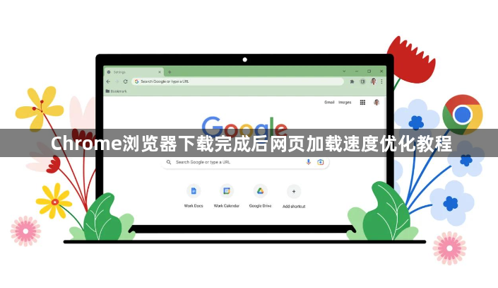 Chrome浏览器下载完成后网页加载速度优化教程1