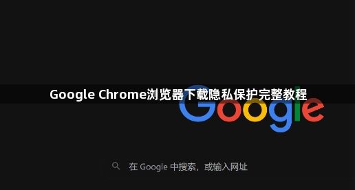 Google Chrome浏览器下载隐私保护完整教程1