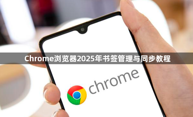 Chrome浏览器2025年书签管理与同步教程1